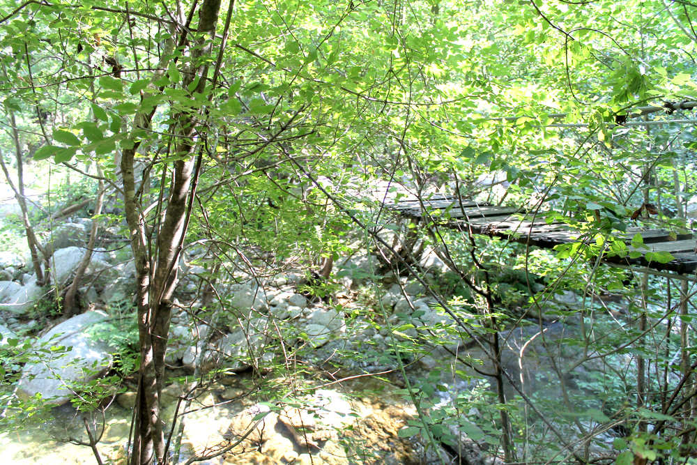 Corse - Voyage - Humeurs - Nouvelles - Miss Blemish