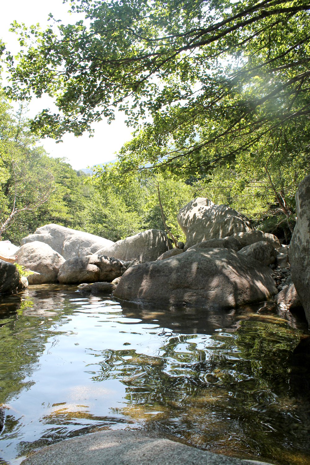 Corse - Voyage - Humeurs - Nouvelles - Miss Blemish