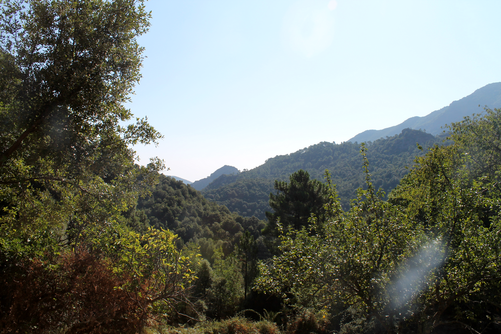 Corse - Voyage - Humeurs - Nouvelles - Miss Blemish