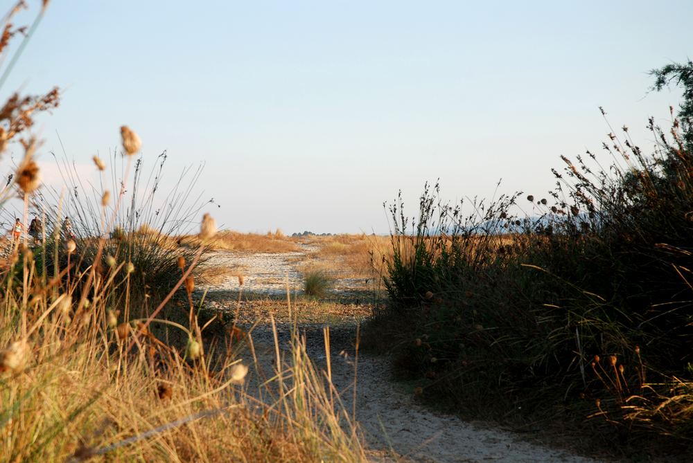 Corse - Voyage - Humeurs - Nouvelles - Miss Blemish