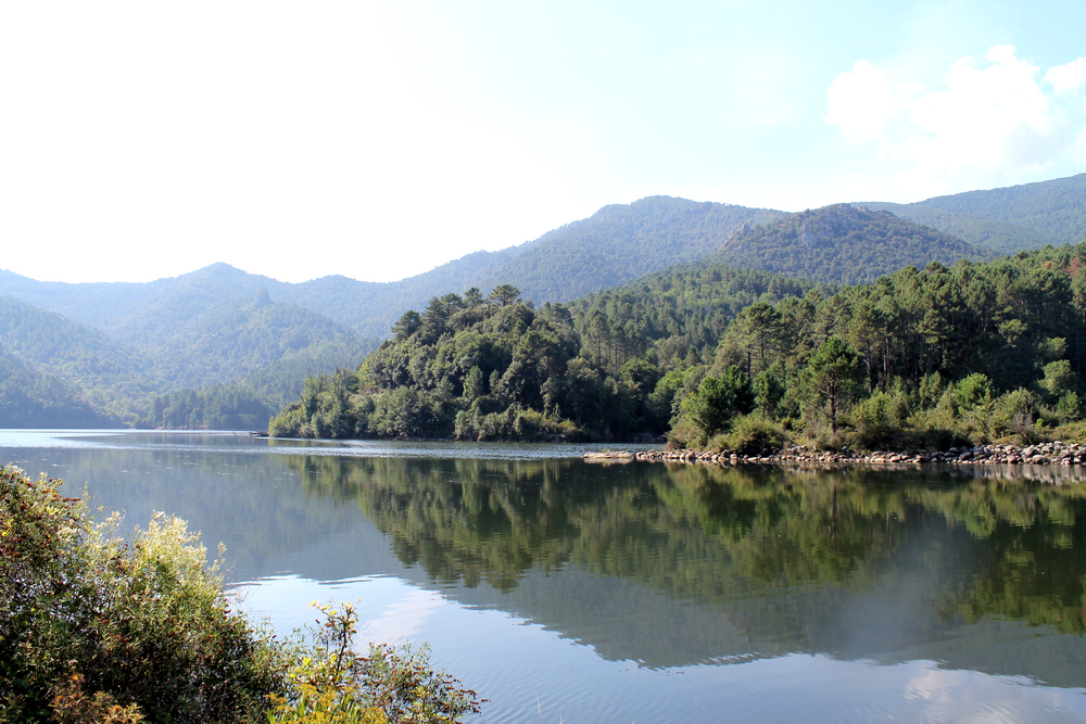 Corse - Voyage - Humeurs - Nouvelles - Miss Blemish