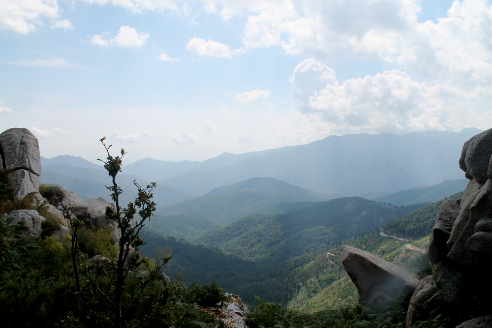 Corse - Voyage - Humeurs - Nouvelles - Miss Blemish