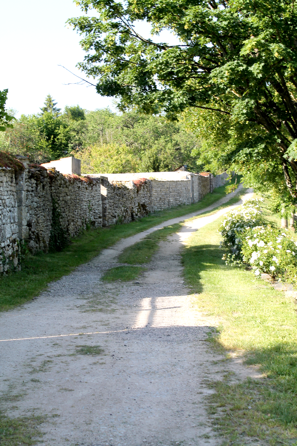 campagne bourguignone chemin - Miss Blemish